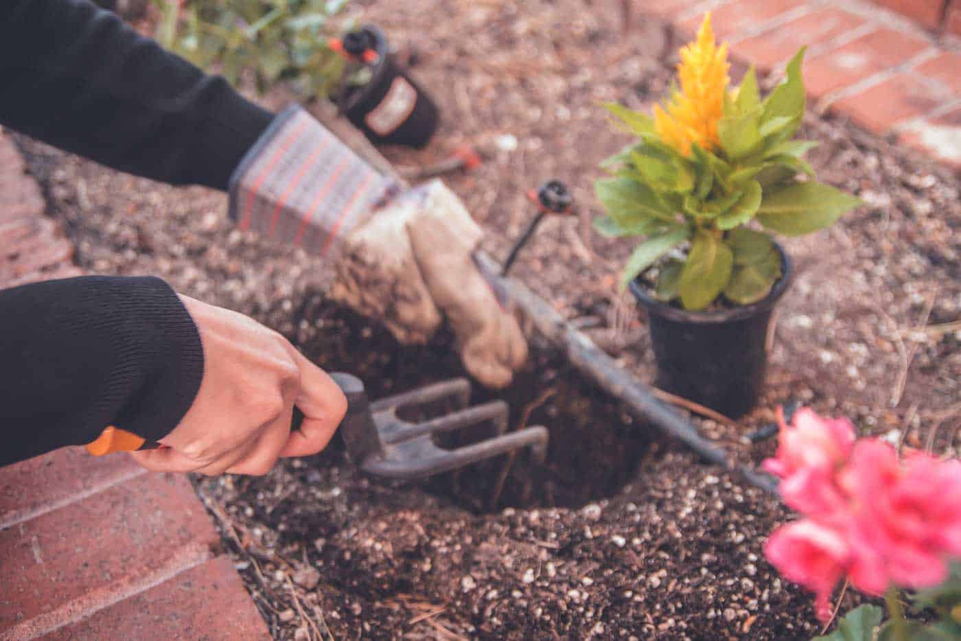 Best Ways to Save Money on Landscaping