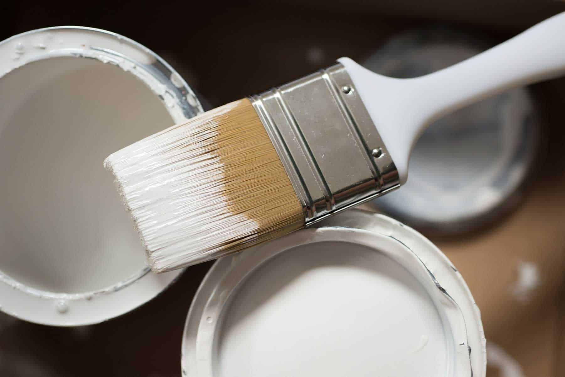 How to Start a Painting Business - Brushes