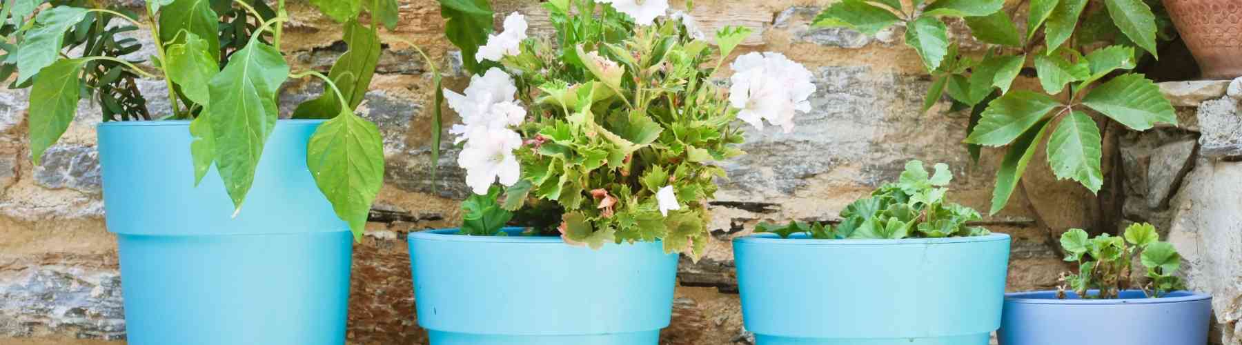 Crafts to Make and Sell - Plant Pots