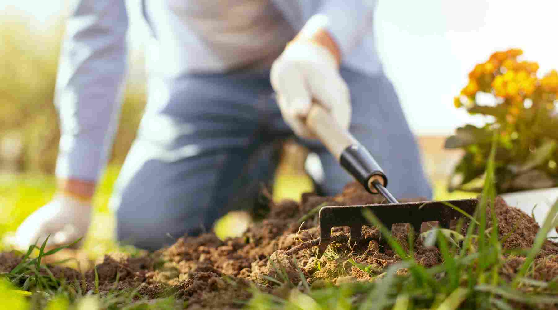 Hobbies that Make Money - Gardening